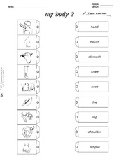 AB-my body-draw-lines 2.pdf